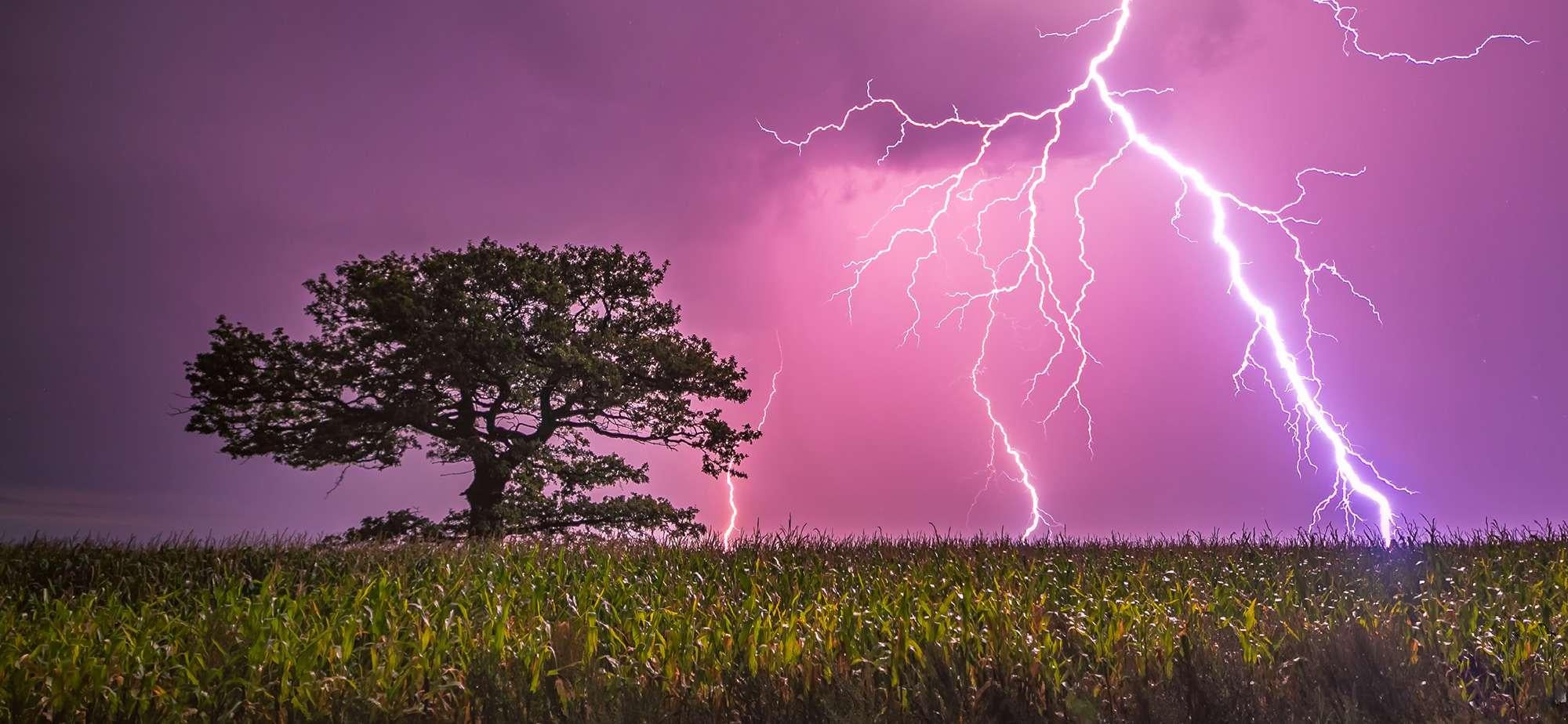 lightning storm by tree